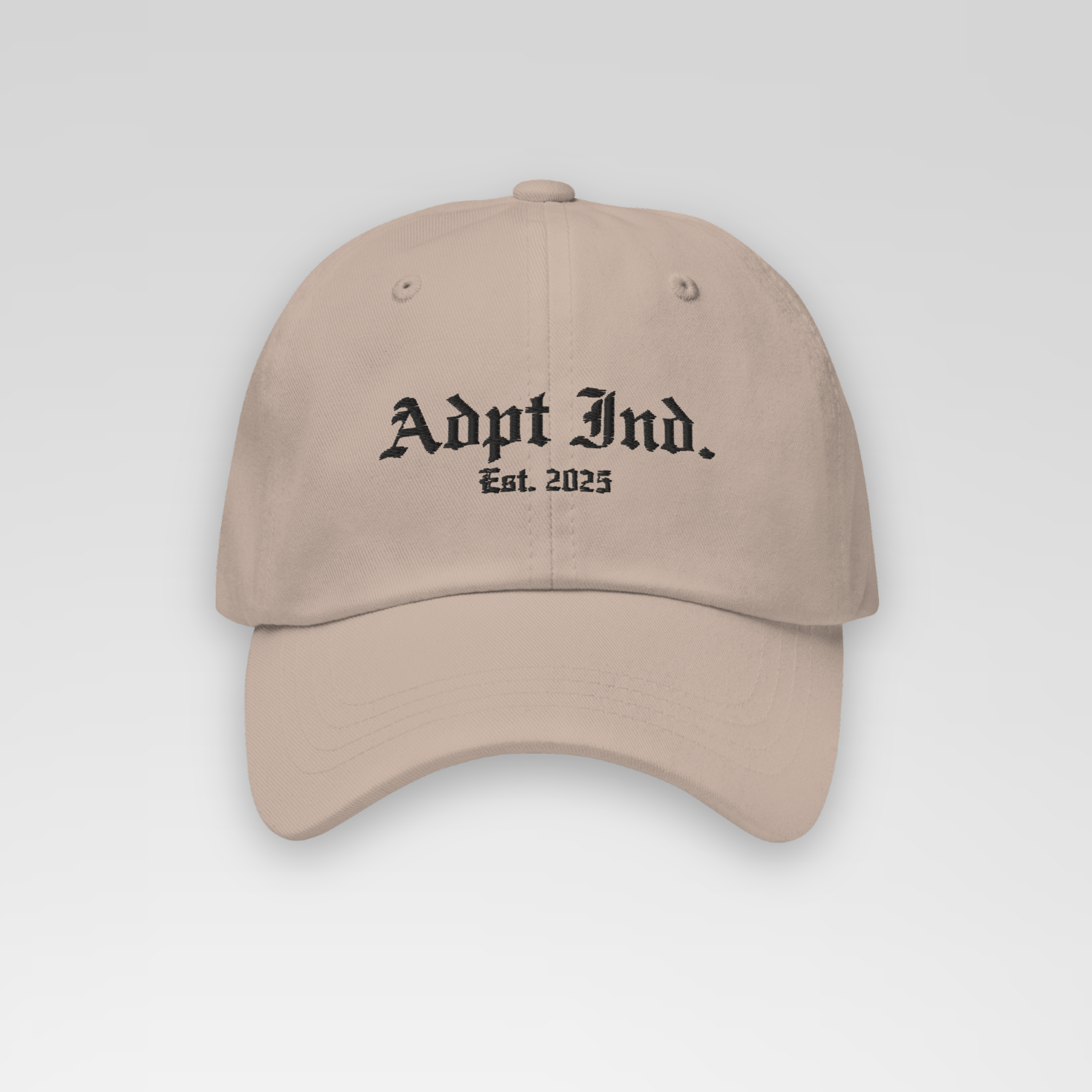 'Sentry' Dad Hat